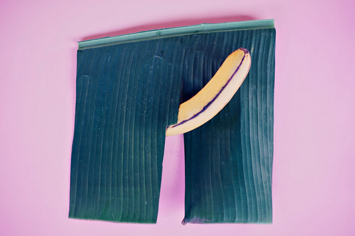 penis